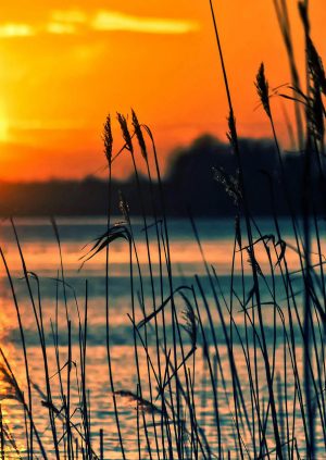 A Wild Sunset Over a Picture Perfect Unpolluted Lake